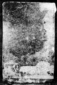 ����1121��ġ���������ͼ��