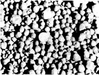 ͼ6����Ѩʯ����