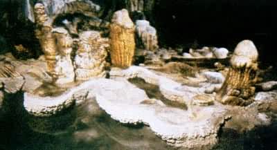 �������Ƕ���Ѩ��ʯ��ʯ���й���