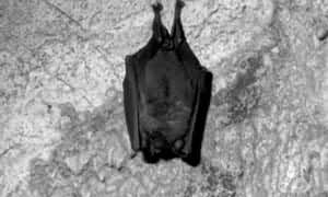 ͼ10�����ڵ��ҵ�����