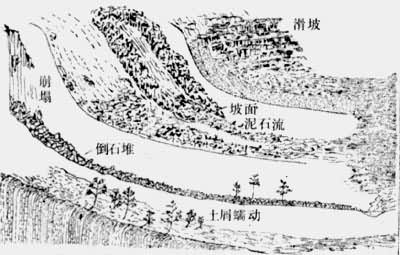 ͼ1�������˶�����