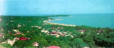 ���������������й���