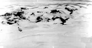 ͼ3��ϡ����ʯ�����ɶ���̬��