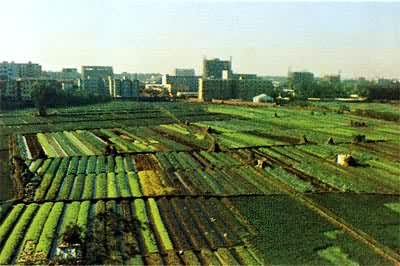 ���ݽ����߲���(�й�)