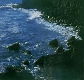 ����е����캣���ĺ����ʴ���й���