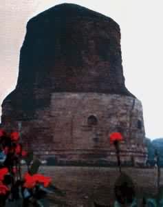 ���ʤ��¹ҰԷ��ӡ�ȣ�