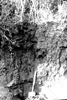 ��������棨���ϵ����ϲ���