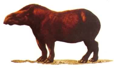 ���ȴ��綯����������ֲ���������