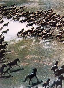 �½������������й���