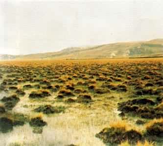 ���ຣ��3800�״���ԭ�����й���