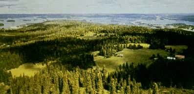 ���ӣ�������