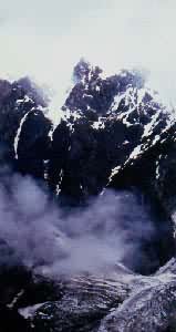 ��³�ز���������ɽ��ֲ����ֱ�ֲ�