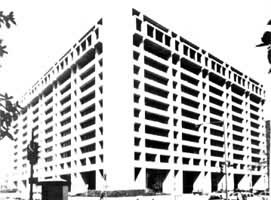 ���ʻ��һ�����֯�ܲ�����