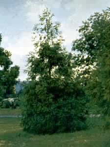 �й����еĲ�������ˮɼ�����ڴ���������