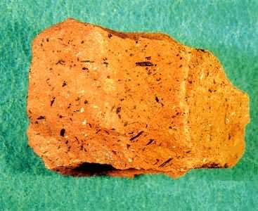 ������ɽ��