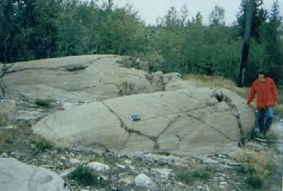 ������ʯ��Ҳ�ƾ��㱳