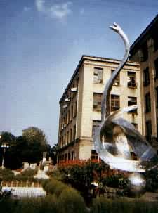 �ɶ�����ѧԺУ԰һ��