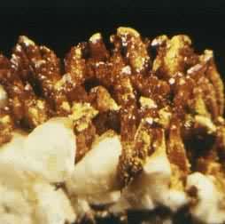�ƻ�(Orpiment)