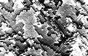 ������΢����ĳЩ����ʯ�Ľṹ