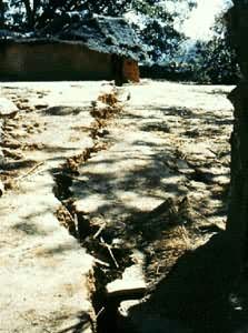 ������ɵĵ��ѷ�