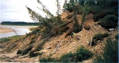 ���������γɵĻ����ϵġ������֡�(���ô������а�ʡ�ɶ�ѷ�Ӱ�)