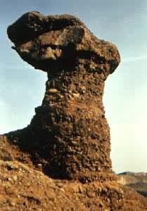 ��ʴĢ��(�ӱ��е�)