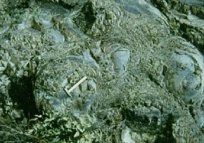 ϸɰ�ҵ����η绯