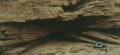 ��̲�ҽ�������