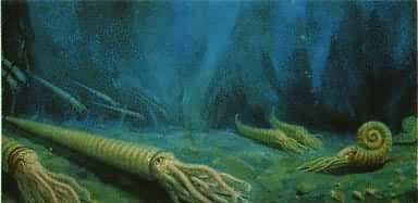 ���ռ�����Ⱥʾ��ͼ