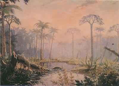 ������ֲ��Ⱥʾ��ͼ