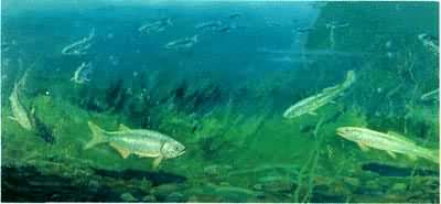 ٪�޼�����ʾ��ͼ