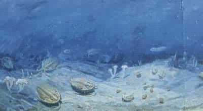 ���������Ⱥʾ��ͼ 