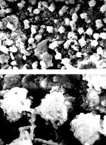 �����ž���ṹ��ɨ��羵��Ƭ