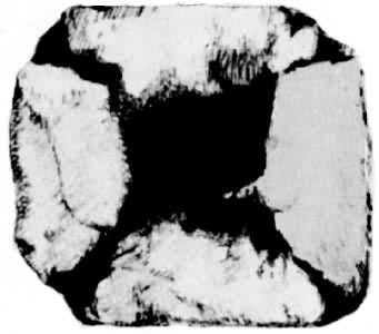 �վ�ʯ����ͼ