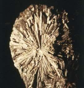 ����ʯ(Andalusite)