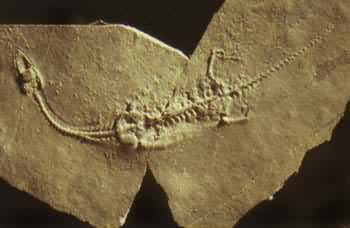 ���Ϲ�����