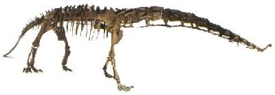 �ϴ�����Ϫ��