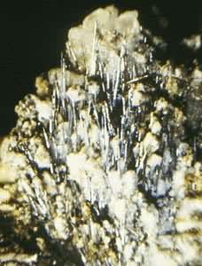 �����(Stibnite)