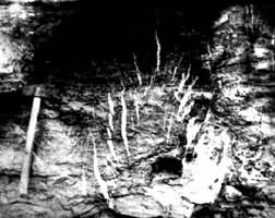 �ع�����д��γɵ���������ʽ�Ž���