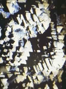 ��ͭ��(Chalcopyrite)