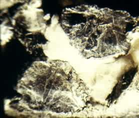 �����(Molybenite)