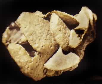 ������(Siderite)