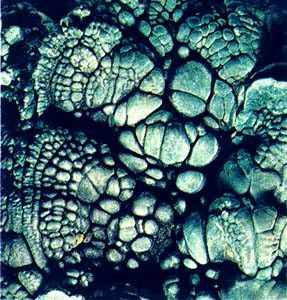 ��ȸʯ(Malachite)