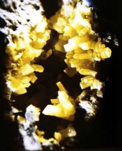 ����ʯ(Celestite)