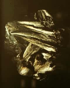 ��þ����(Ludwigite)