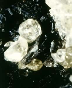 �㻨ʯ(Hsianghualite)