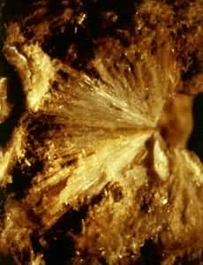 �˱��ʯ(Balipholite)