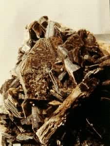 ����ĸ(Muscovite)