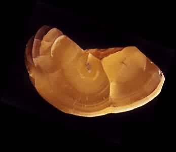 ��п��(Smithsonite)