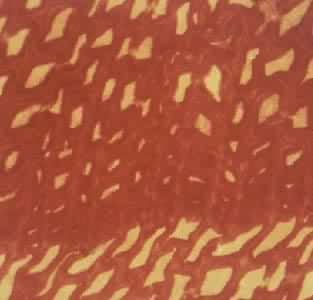 ��΢ú����֡����ṹ�����塡����ƫ��Ŵ�417X�����أ���������